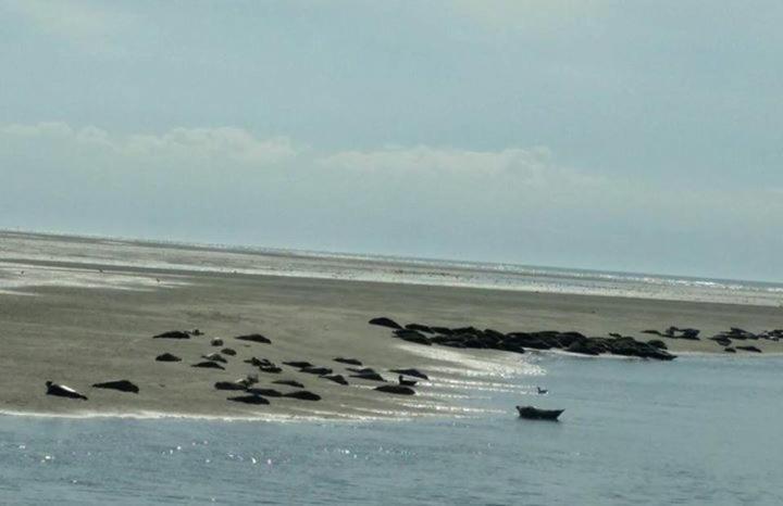 Relais Vacances A La Mer 2 Berck Экстерьер фото